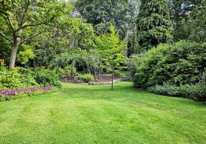 Optimiser l'expérience du jardin à Saint-Didier-sur-Chalaronne